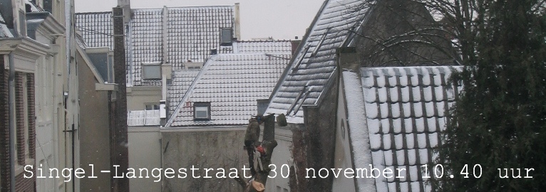 kastanje 7