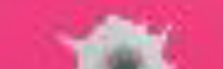 logo Pink Bullets