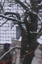 Not my backyard