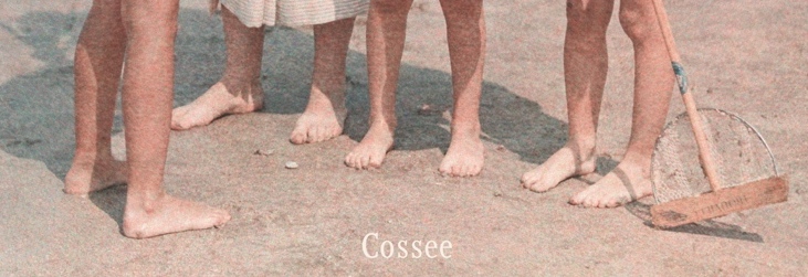 kastanje9